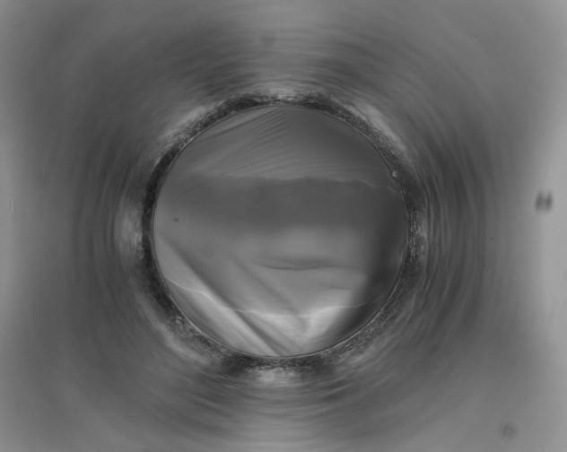 X0000096380500200802071516