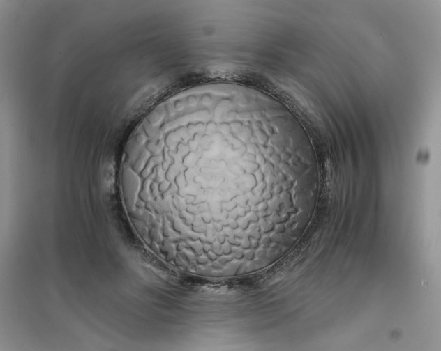 X0000096380502200802071516