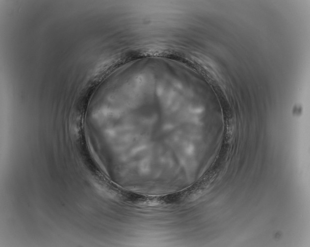 X0000096380503200802071516