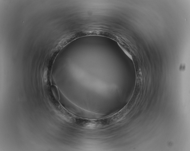 X0000096380504200802071516