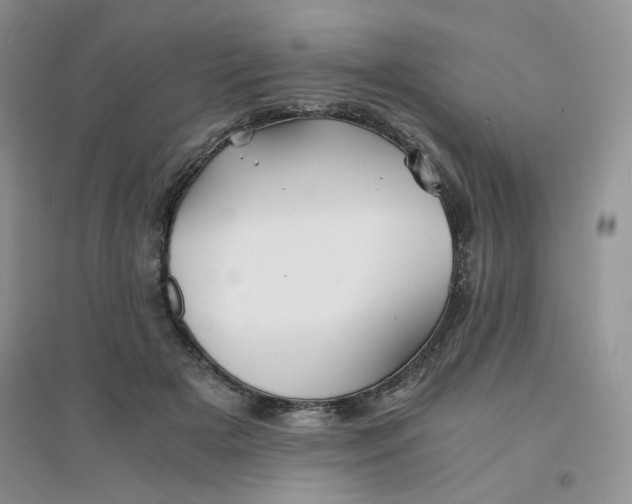 X0000096380505200802071516