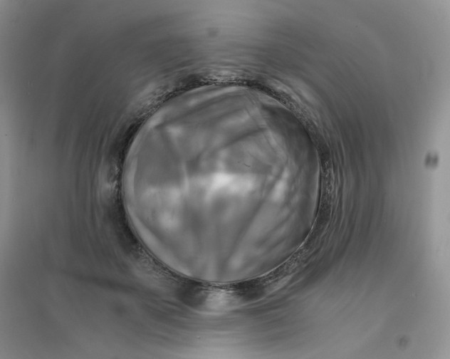 X0000096380507200802071516