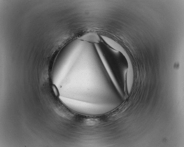 X0000096380508200802071516