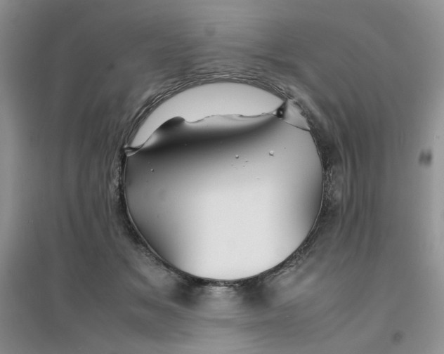 X0000096380509200802071516