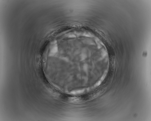 X0000096380511200802071516