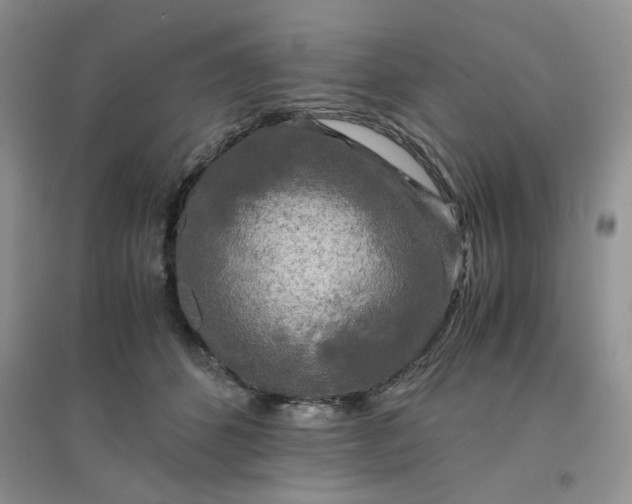 X0000096380512200802071516