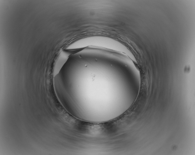 X0000096380513200802071516