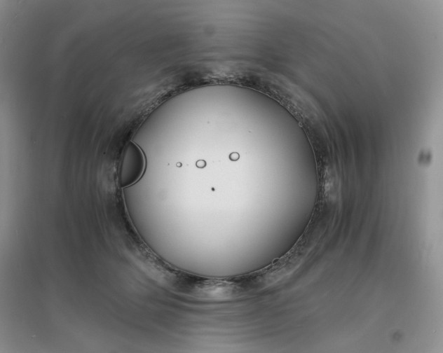 X0000096380514200802071516