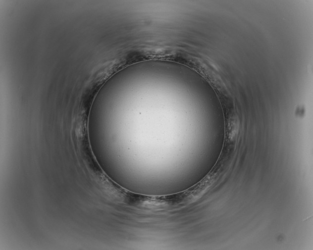 X0000096380515200802071516