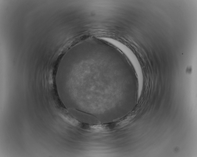 X0000096380516200802071516