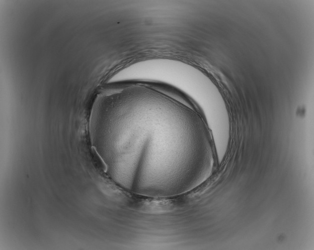 X0000096380517200802071516