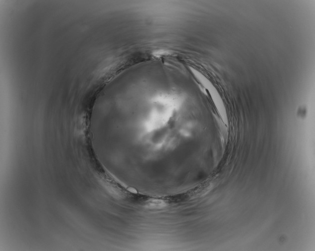 X0000096380519200802071516