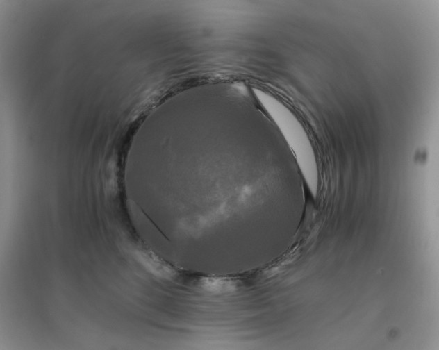 X0000096380520200802071516