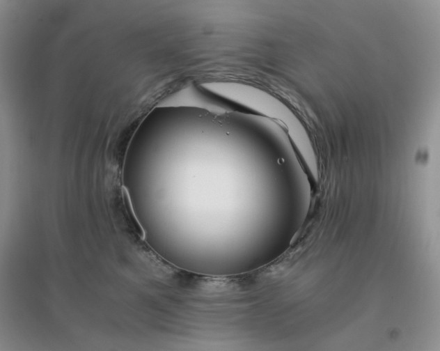 X0000096380521200802071516