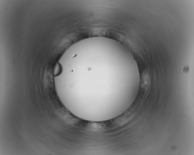 X0000096380522200802071516