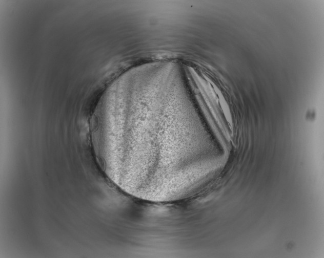 X0000096380523200802071516