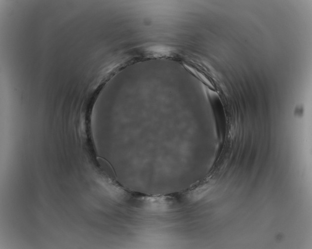 X0000096380524200802071516