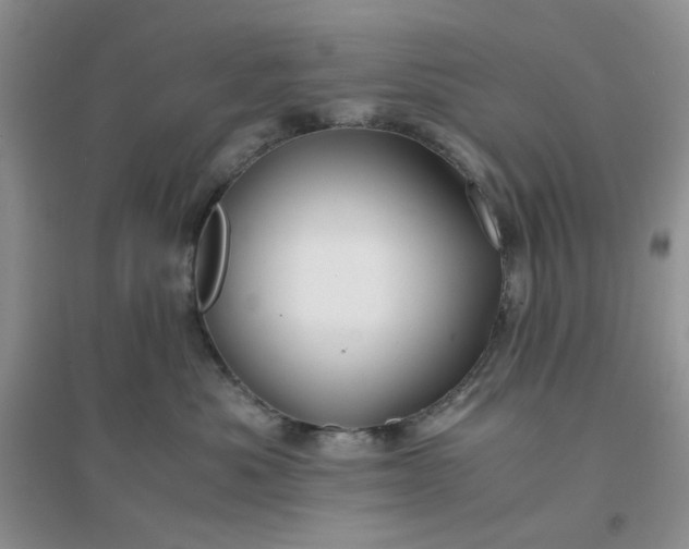 X0000096380525200802071516