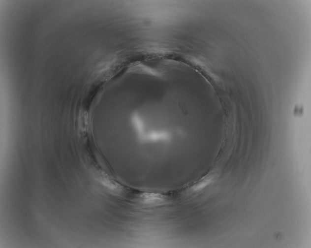 X0000096380528200802071516