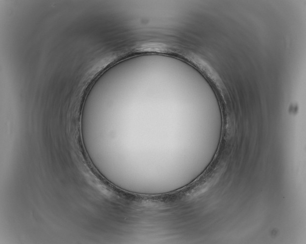 X0000096380529200802071515