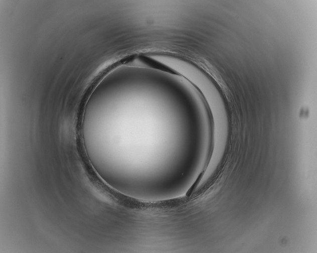 X0000096380530200802071515