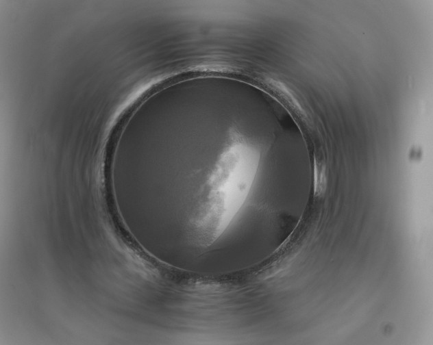 X0000096380531200802071515