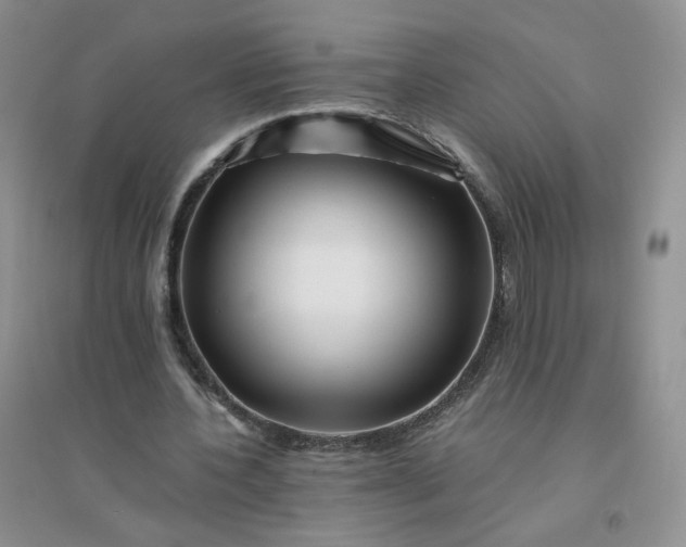 X0000096380532200802071515