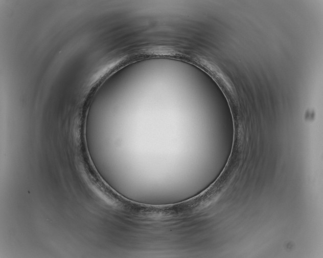 X0000096380533200802071515