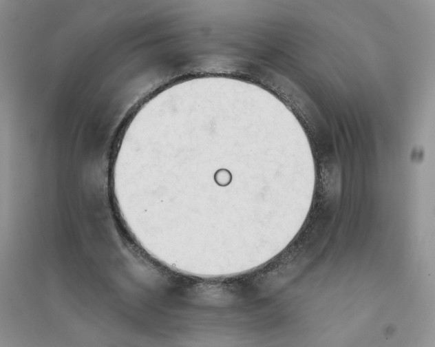 X0000096380534200802071515