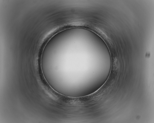 X0000096380535200802071515