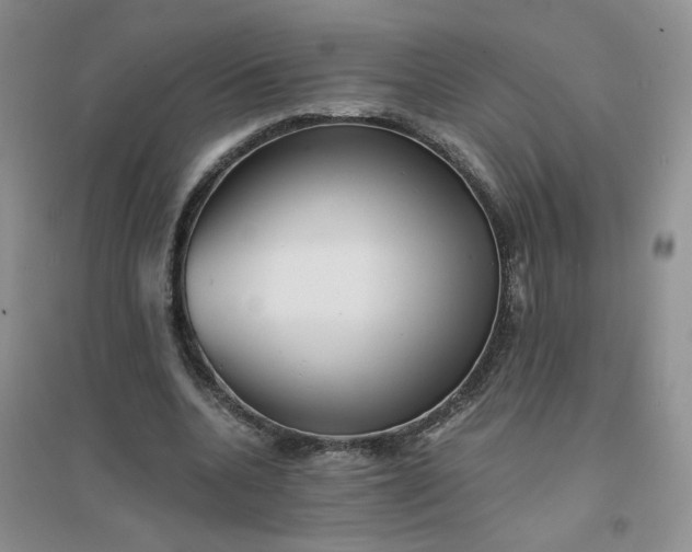 X0000096380536200802071515