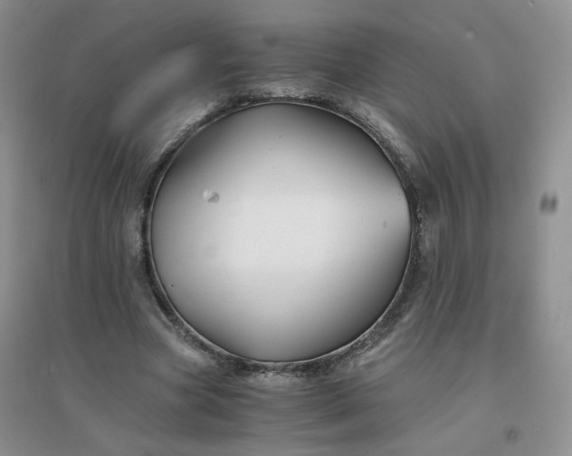 X0000096380537200802071515