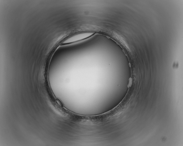 X0000096380538200802071515