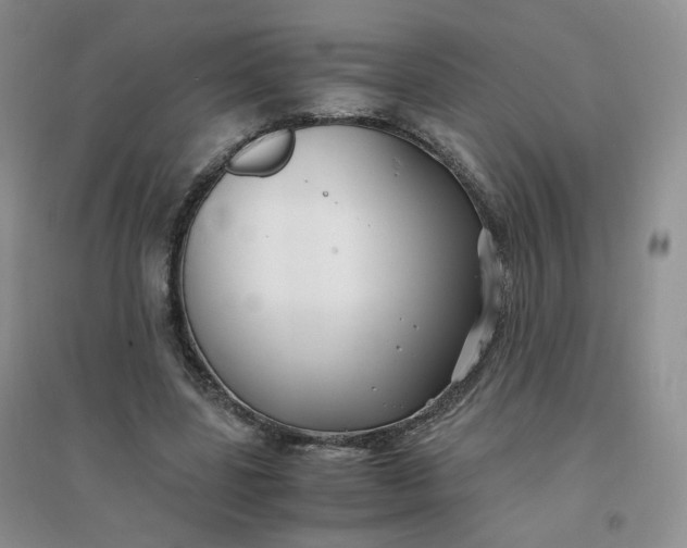 X0000096380539200802071515