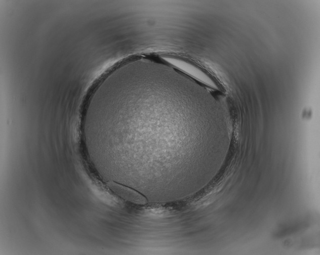 X0000096380540200802071515