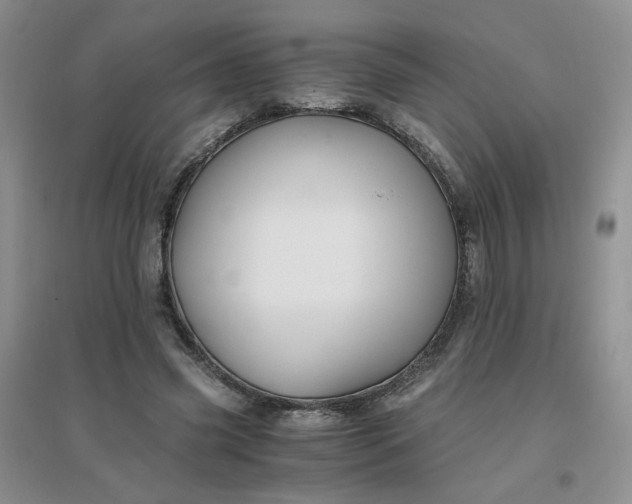 X0000096380541200802071515