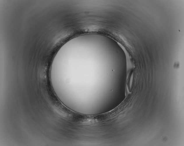 X0000096380543200802071515