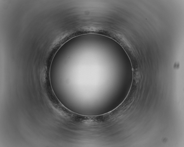 X0000096380544200802071515