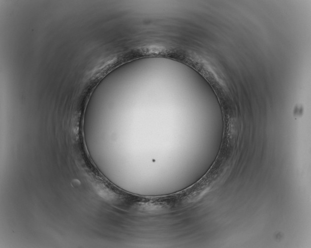 X0000096380545200802071515