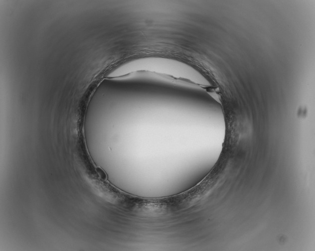 X0000096380546200802071515