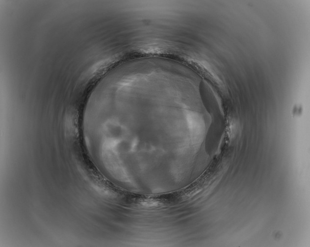 X0000096380547200802071515