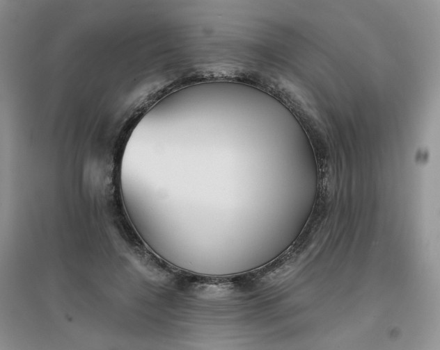 X0000096380548200802071515