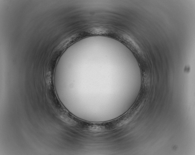 X0000096380549200802071515