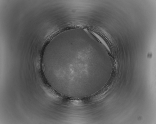 X0000096380552200802071516