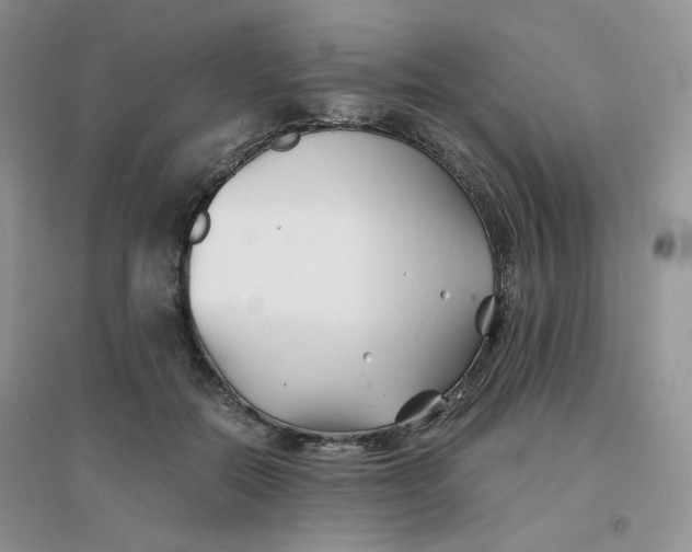 X0000096380554200802071516