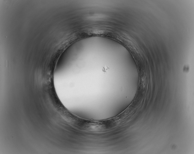 X0000096380555200802071516