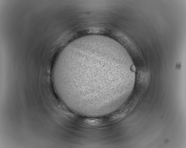 X0000096380557200802071516