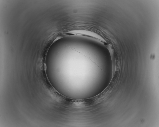 X0000096380560200802071516