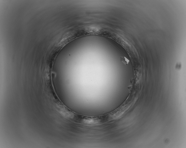 X0000096380561200802071516