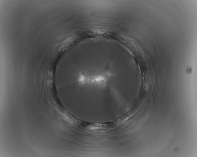 X0000096380563200802071516